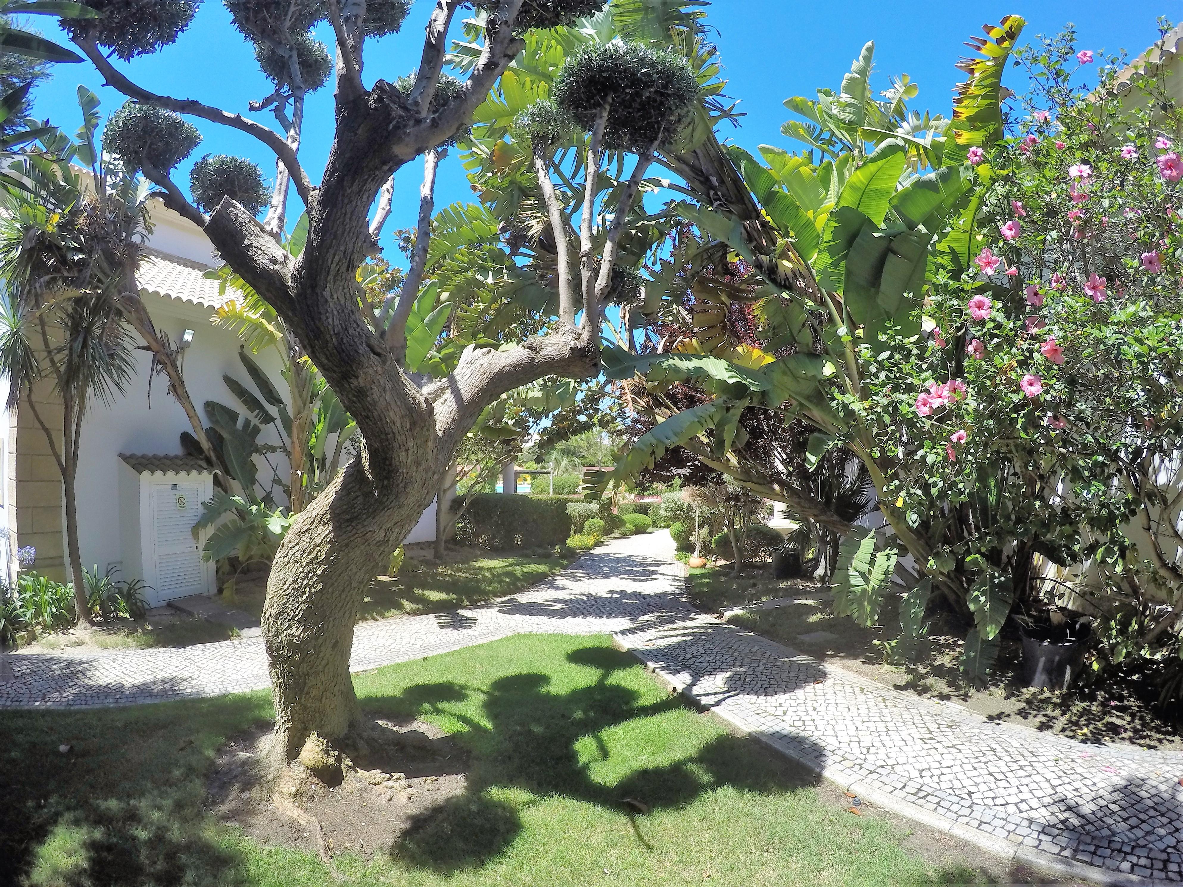 Parque de vacaciones Luzmar Luz